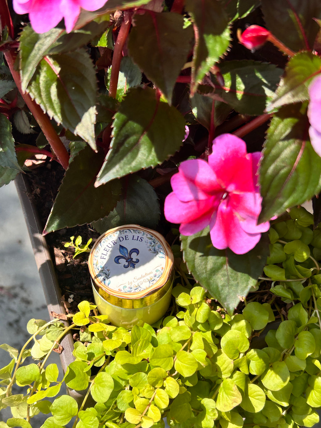 Scented Shea Butter